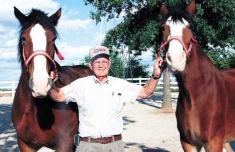 norm-wilke-with-clydesdales.jpg